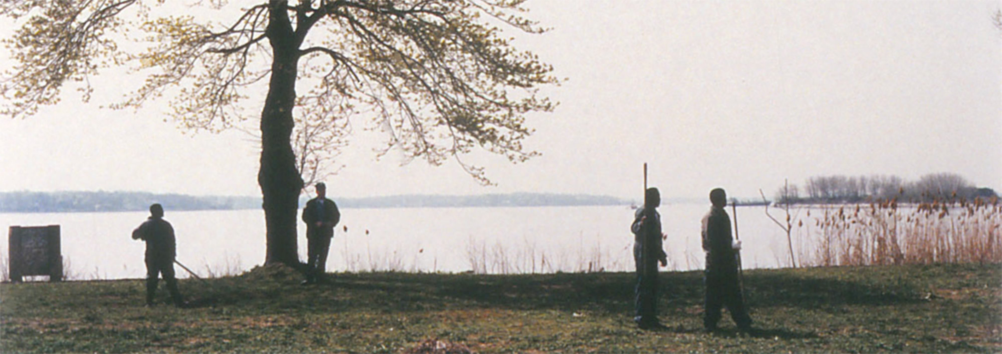Prisoners watching geese in flight, Potter’s Field ©1992 Joel Sternfeld