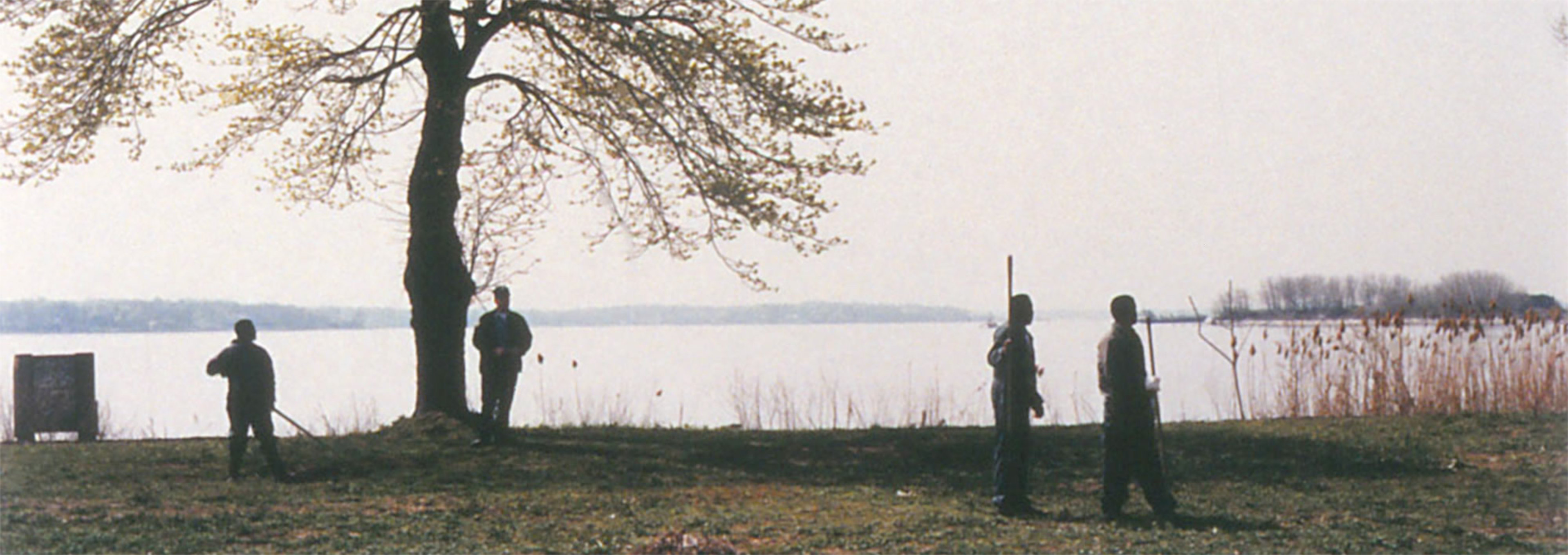 Prisoners watching geese in flight, Potter’s Field ©1992 Joel Sternfeld