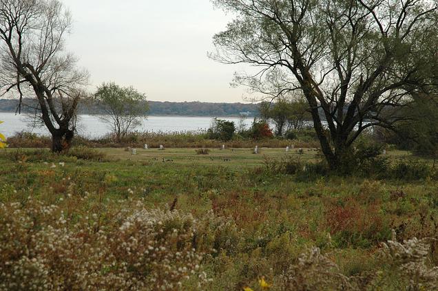 The Hart Island Project to Receive NEA for Landscape of Hope