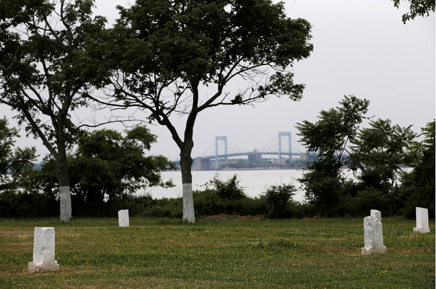 Over 1 million unclaimed bodies are buried on a little-known island in New York City 