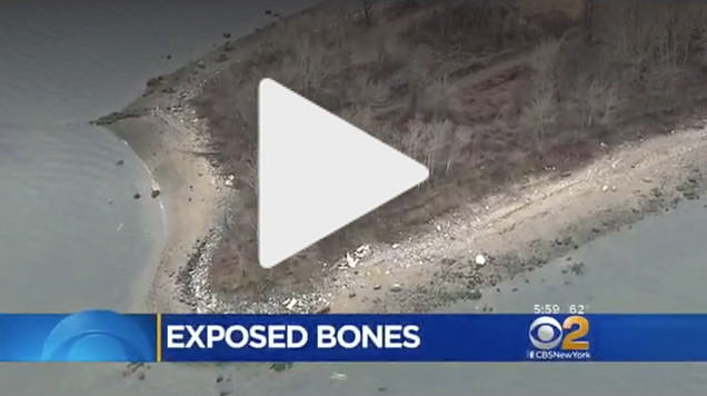 ‘Bones Beach:’ Hart Island Erosion Unearths Human Skeletons